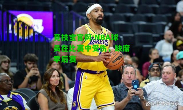 竞技宝官网:NBA球员在比赛中受伤，缺席季后赛