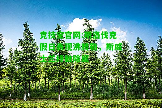 竞技宝官网:斯洛伐克假日表现沸腾勒，斯威士兰终触除底