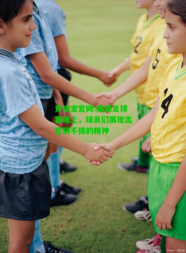 竞技宝官网:挪威足球赛场上，球员们展现出坚韧不拔的精神