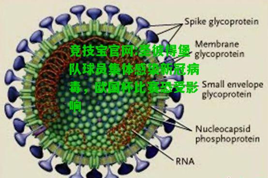 竞技宝官网:圣彼得堡队球员集体感染新冠病毒，欧国杯比赛恐受影响